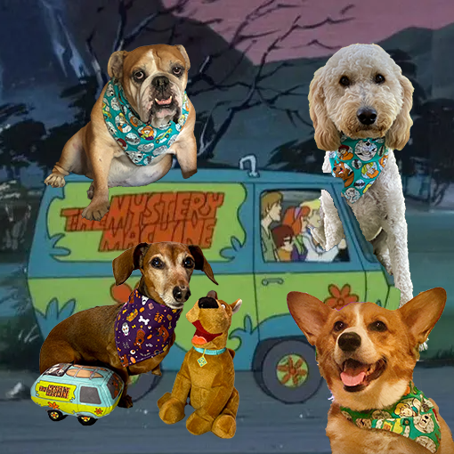 Geekster Collage: Scooby Squad