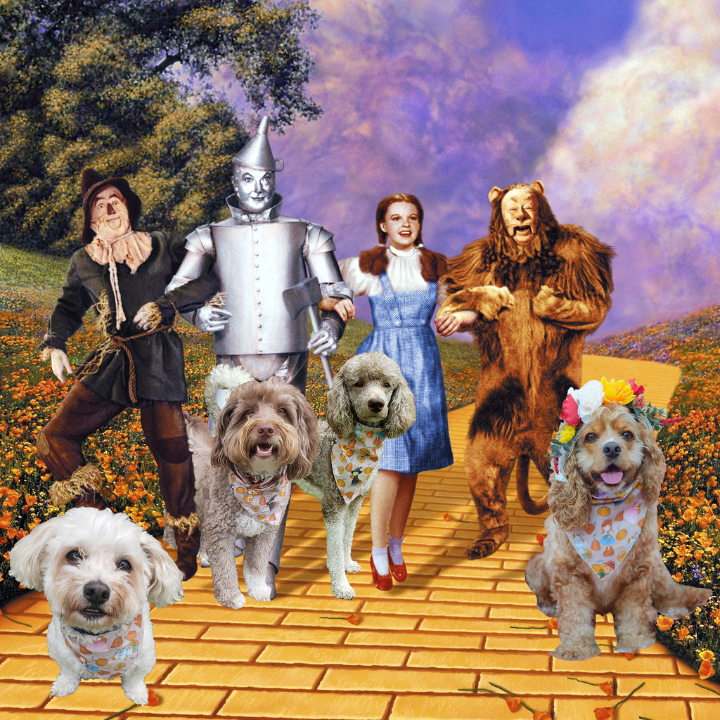 Geekster Collage: Oz Anniversary