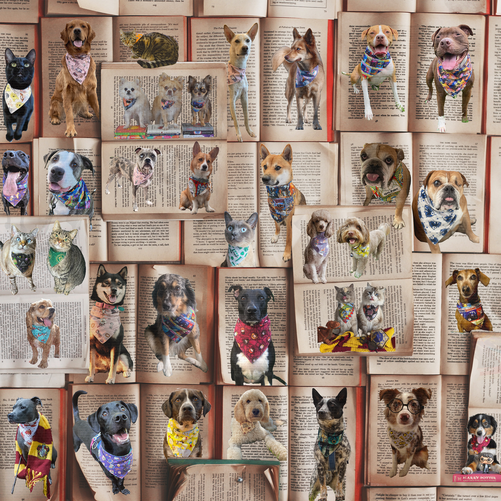Geekster Pets: Book Lovers Day