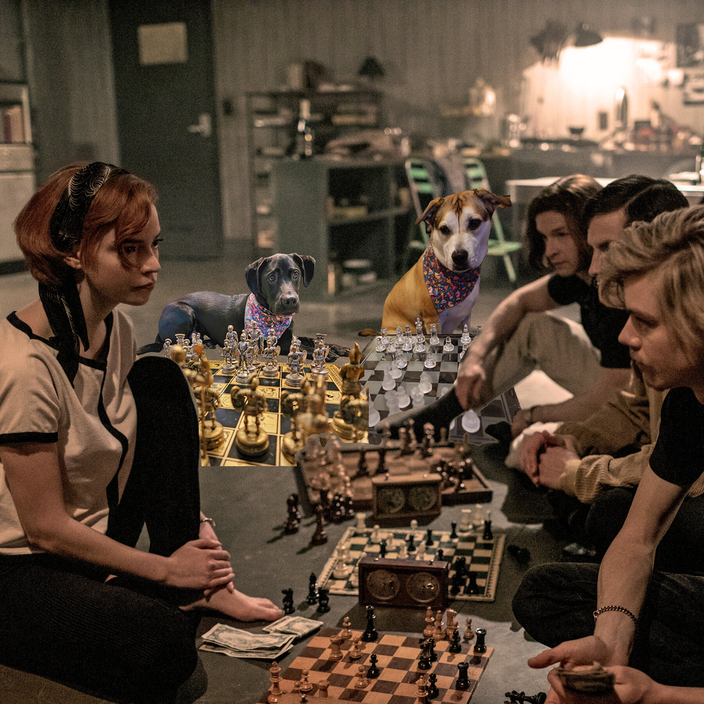 Geekster Collage: International Chess Day