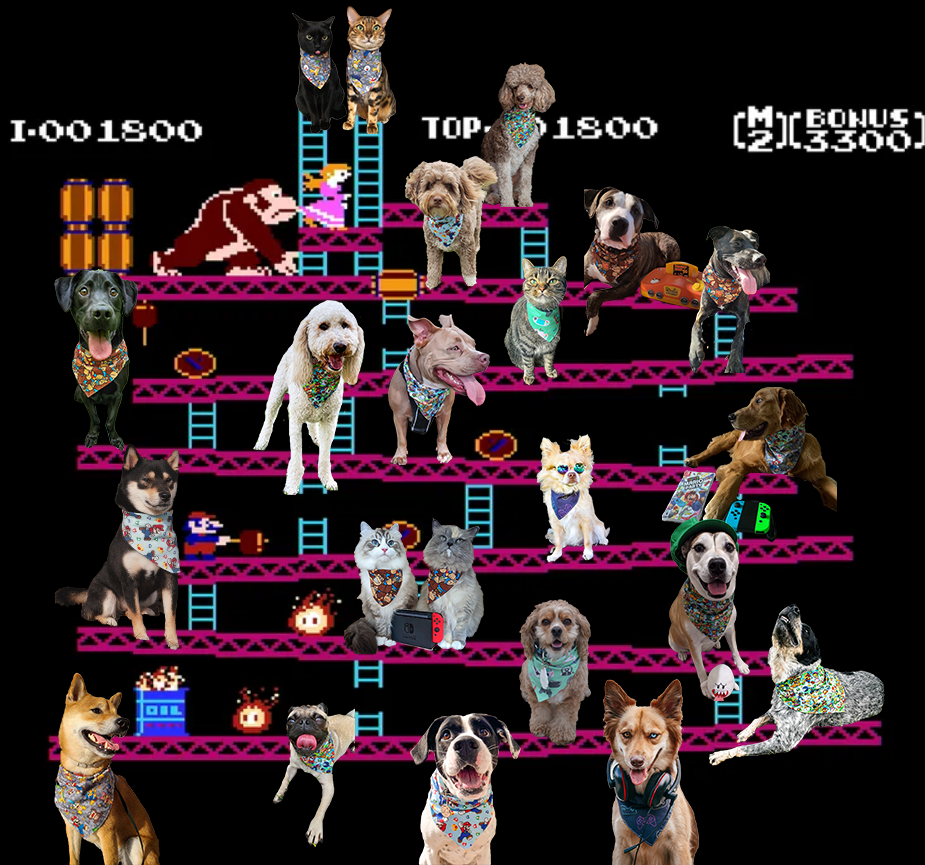Geekster Collage: Donkey Kong