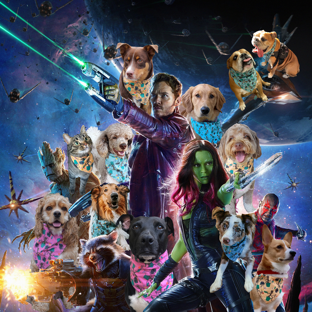 Geekster Collage: GoTG