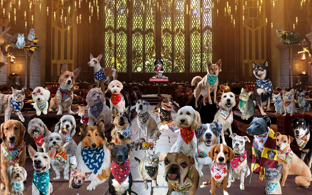 Geekster Collage: Hogwarts After Party