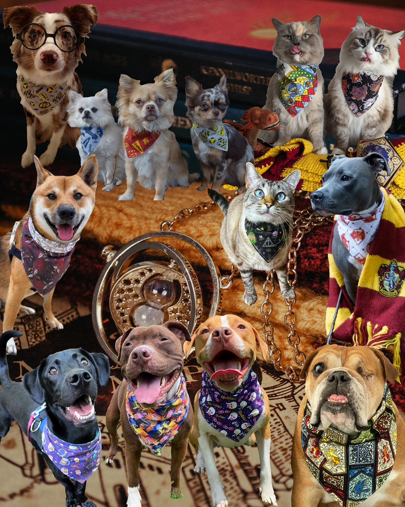 Geekster Collage: Hermione's Birthday
