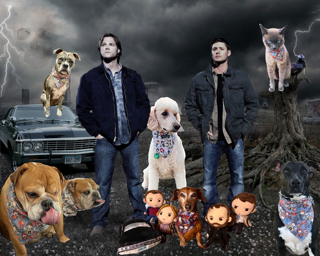 Geekster Collage: Winchester Anniversary