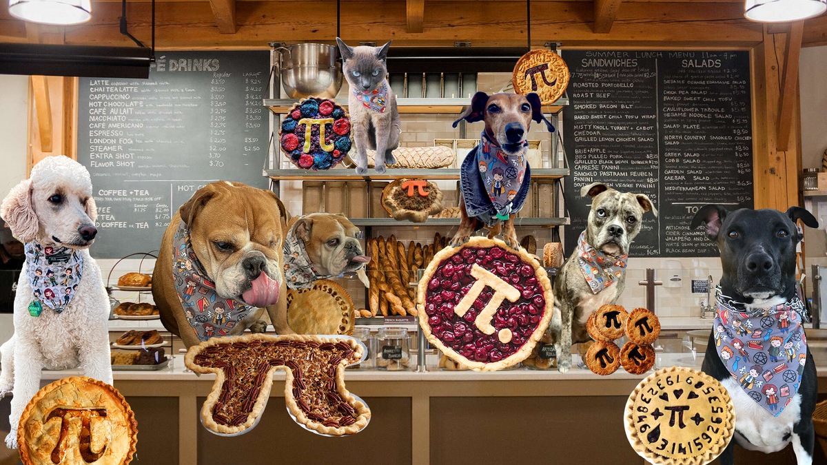 Geekster Collage: Pi Day – Geekster Pets