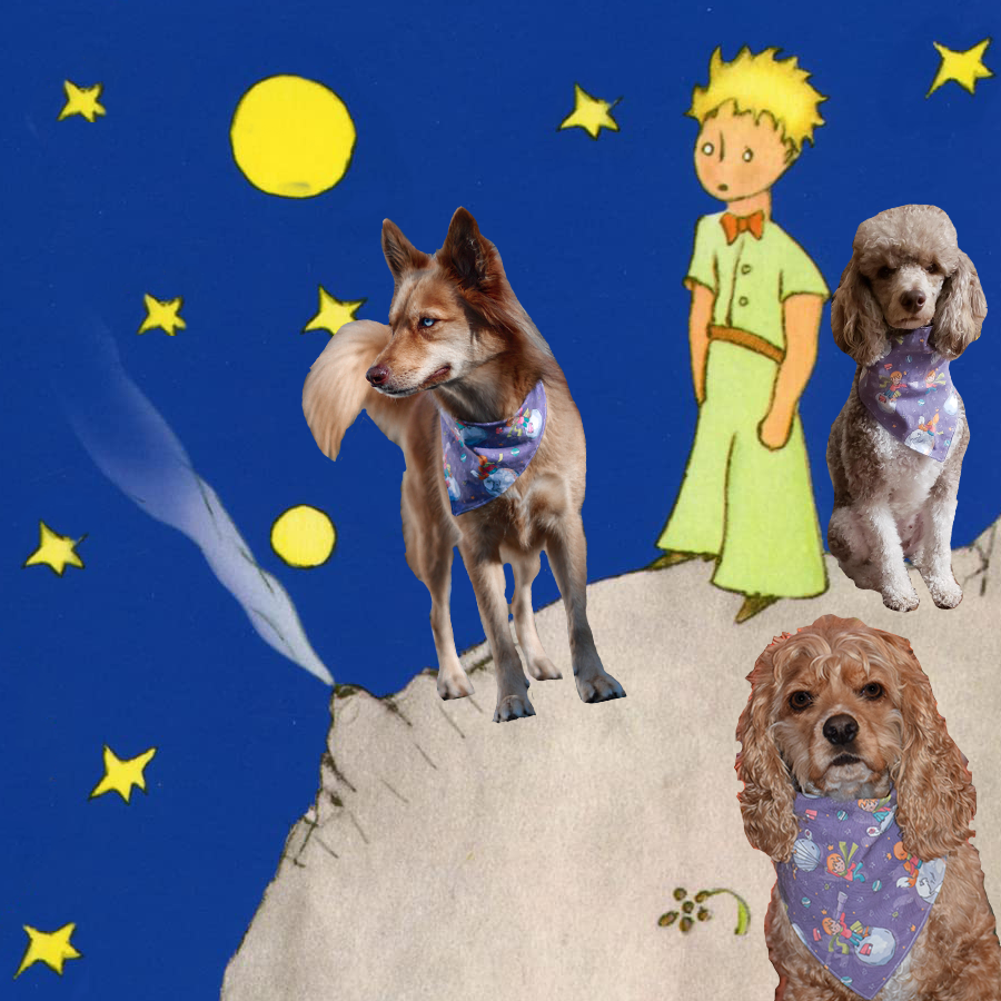 Geekster Collage: The Little Prince