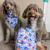 626 Snacks Convertible Backpack