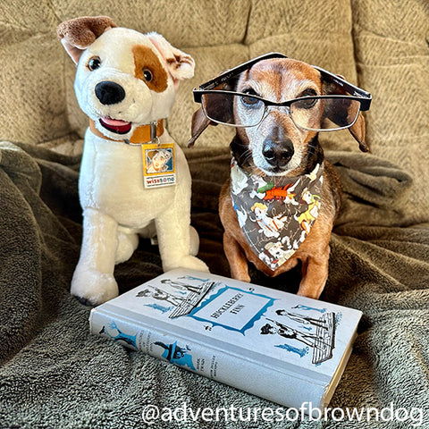 Book Dog