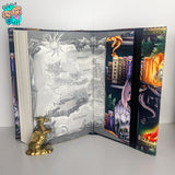 Dragon Rider Shelf Book Wrap (Hardcover Size)