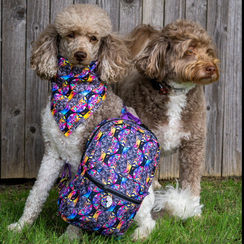 Roomie Window Sling Bag