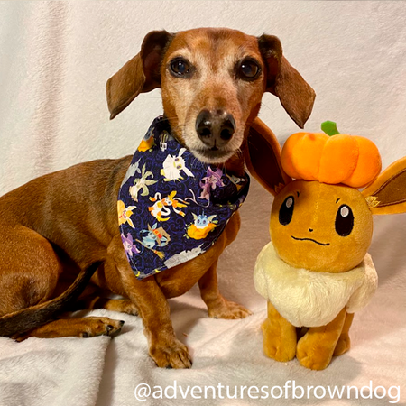 All Hallows Eevee