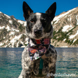 Hairy Pawter