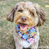 Human Rights