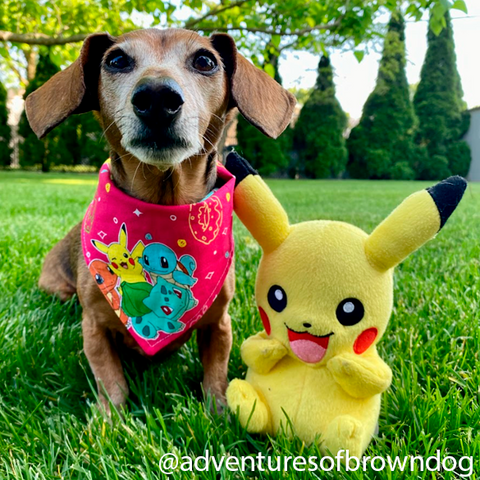 Pika-Treats