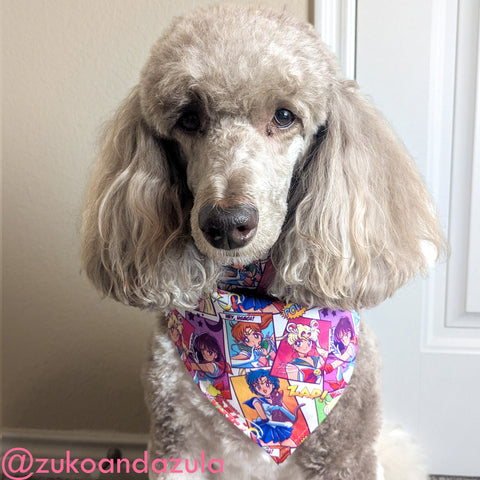 Sailor Guardian Comics