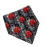 Spider Roses