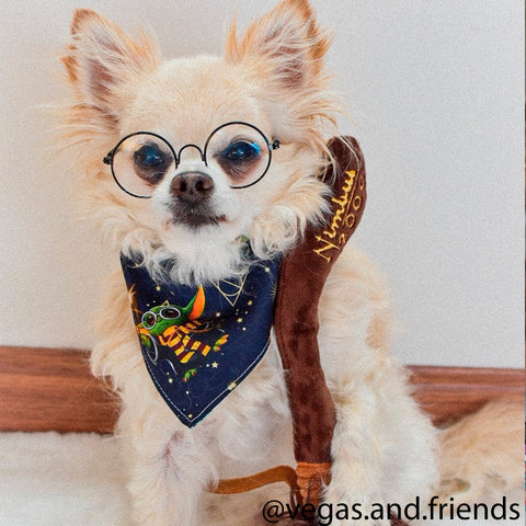 Baby Wizard