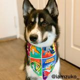 Mystery Bandana