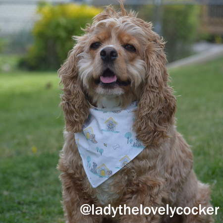 Mystery Bandana