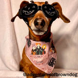 Mystery Bandana