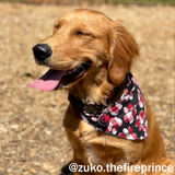 Mystery Bandana